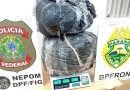 BPFron apreende 17 kg de maconha