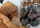 Abrigo de crianças e adolescentes é autuado após MPSC encontrar alimentos vencidos em Campos Novos