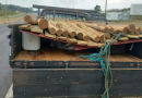 PRF apreende 500 litros de agrotóxicos contrabandeados escondidos sob madeira