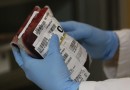 Hemosc incentiva doações antes do Carnaval para garantir estoques de sangue