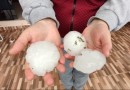 Caxambu do Sul decreta situação de emergência após granizo