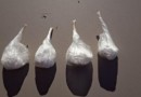 Mulher é presa novamente por tráfico de drogas em menos de três dias