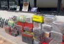 Duas toneladas de maconha e mais de 80 armas são apreendidas em caminhão de porcos no Paraná