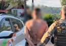 Motorista foge após acidente, mas é encontrado por cão policial