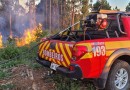 Bombeiros utilizam 20 mil litros de água para combater incêndio em área de reflorestamento