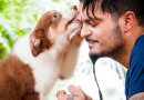 Cães sentem o que donos estão sentindo, comprova estudo