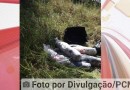 Idosa mata marido com veneno de rato, o esquarteja e abandona corpo