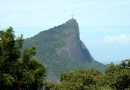 Desmatamento na Mata Atlântica cai 59% no acumulado do ano até agosto, aponta pesquisa