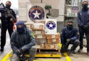Carga congelada de pés de galinha revela quase meia tonelada de cocaína em porto de SC