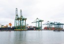 Movimentação de cargas nos portos de Santa Catarina cresce 5,96% no primeiro semestre de 2024