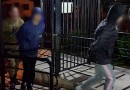 Jovens são presos por tráfico de drogas em SMOeste
