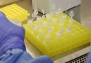 SC confirma 13 novos casos da variante Ômicron; veja números por cidade