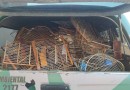 PMA realiza destruição de materiais apreendidos