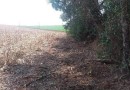 Corpo de mulher é encontrado no interior de município do Oeste de SC