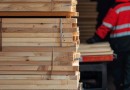 Santa Catarina passa a ser líder nacional em exportações do setor de madeira em 2024