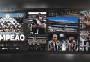 Após vencer o Brasil de Pelotas, Botafogo conquista o Campeonato Brasileiro Série B