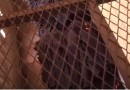 Grupo que usou de violência e ameaças à família para roubar é condenado a penas de até 41 anos de prisão