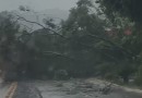 Temporal assusta moradores do Extremo Oeste de Santa Catarina