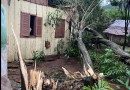Árvore cai sobre residência
