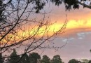 A última sexta-feira do Outono é de tempo bom