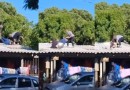 Policiais e suspeito caem de telhado durante perseguição após confronto