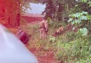 Perseguição policial termina em capotamento