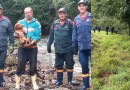 Homem que estava desaparecido às margens do Rio Cedro é encontrado
