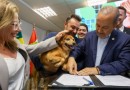 SC quer castrar 90 mil cães e gatos até 2026 com programa de R$ 18 milhões