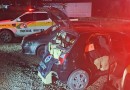 Polícia apreende carga de vinhos avaliada em R$ 89 mil em ação contra descaminho