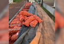 BPFRON apreende carreta com 30 toneladas de cebola argentina