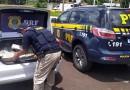 PRF apreende 127 kg de maconha na BR 282