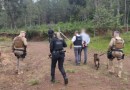Foragido é capturado e dois suspeitos são presos por auxiliar na fuga