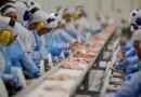 Enquanto exportações de carne bovina crescem 33%, China reduz pela metade compras de proteína suína
