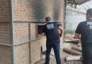 Polícia incinera mais de 1 tonelada de drogas apreendidas