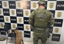 Adolescente é apreendido por diversos crimes em Santa Izabel do Oeste
