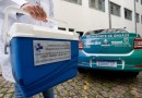 Paraná teve a menor taxa de recusa familiar para doação de órgãos do Brasil em 2024