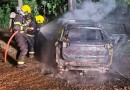 Carro bate em árvore e é destruído pelo fogo