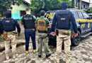 MPSC denuncia grupo que lucrou R$ 16 milhões em falsas vendas de carros