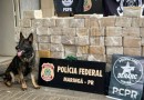 Polícia Federal em ação conjunta, apreende mais de 400 kg de cocaína