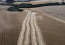 Com nove a mais, Paraná chega a 34 cidades com VBP Agropecuária acima de R$ 1 bilhão