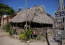 Brasil tem 7,6 mil comunidades quilombolas, mostra Censo