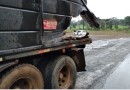Motorista morre em acidente entre caminhões na BR-282