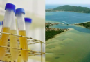 Água da Lagoa da Conceição, em Florianópolis, tem um dos maiores níveis de cocaína já registrados no mundo