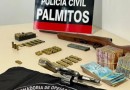 Homem é preso em Palmitos por suspeita de envolvimento com comércio ilegal de armas