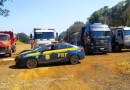 Mais de 32 toneladas de excesso são flagradas em caminhões na BR-282