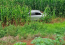 Motorista abandona carro com drogas em plantação de milho após perseguição na BR-282