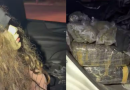 Motorista usa manequim com peruca para despistar fiscalização, mas PRF apreende 255 kg de drogas no Paraná