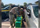 Adolescente é abandonada pelo namorado com 300kg de maconha em Toledo