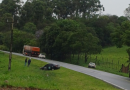 Motorista sai da pista para evitar colisão com carreta na BR-163