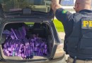 PRF localiza 384 kg de maconha em rodovia catarinense